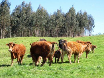 UGAM-COAG realizará curso para ...