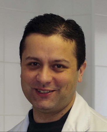 Las causas de la obesidad, la epidemia ...