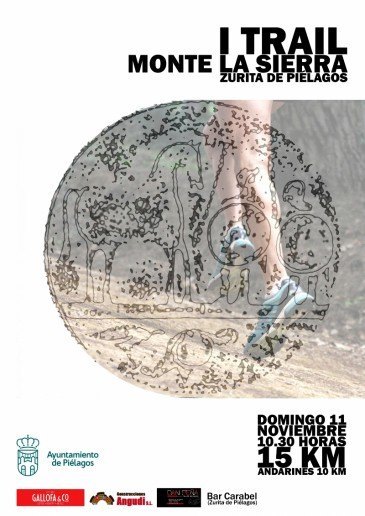 El próximo viernes finalizará el ...