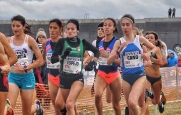 Noemí Cano y Carlos García Navarrete ...