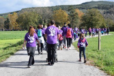 Piélagos celebrará mañana, sábado, ...