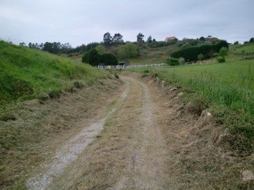 Limpieza de caminos vecinales del  ...