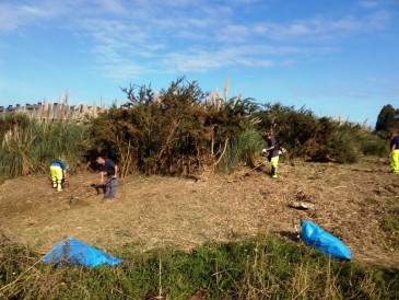 Avanzan a buen ritmo los trabajos de ...