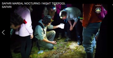 En marcha una nueva edición de los ...