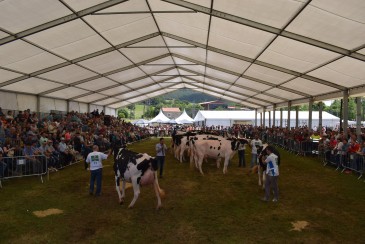 Abierto hasta el 7 de junio el plazo de ...