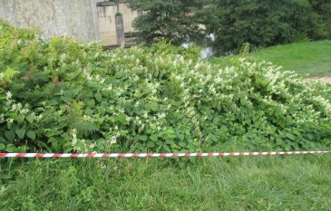 El Ayuntamiento de Piélagos publica en ...