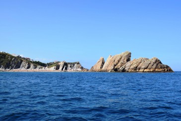 Más de 1.300 personas pasaron por la ...