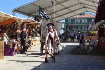 Piratas, aves rapaces y seres ...