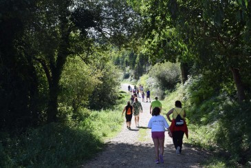 El Ayuntamiento de Piélagos ...
