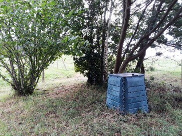 MARE repartirá mañana, viernes, las ...