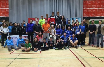 Estabilidad en individual y novedad en ...