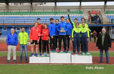 El Piélagos, campeón de Cantabria ...