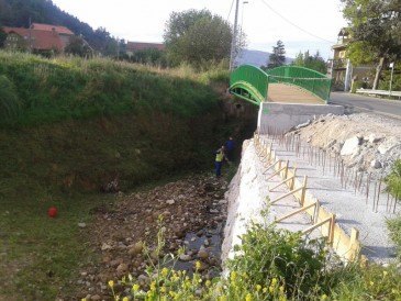 19 peones forestales y un técnico de ...