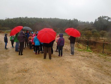Medio centenar de estudiantes del ...