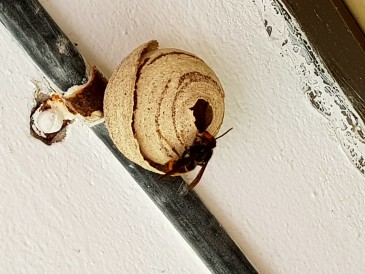 En marcha, por cuarto año consecutivo, ...