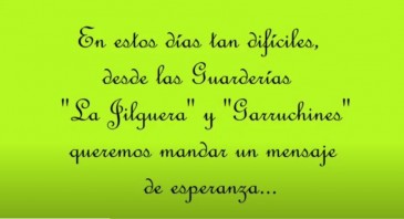 Las guarderías-ludotecas municipales ...