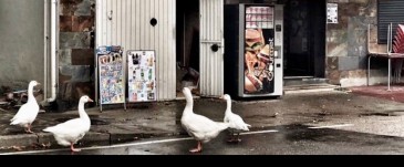 ¿Qué comercios son y dónde están?