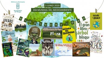 Las bibliotecas municipales de ...