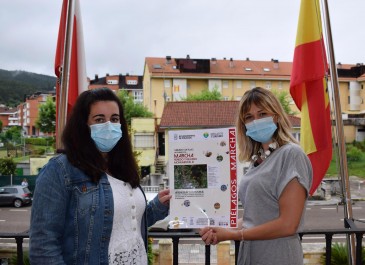 El Ayuntamiento organiza un programa de ...