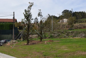 El Ayuntamiento de Piélagos trasplanta ...