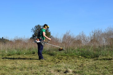 Empleo concede al Ayuntamiento de ...