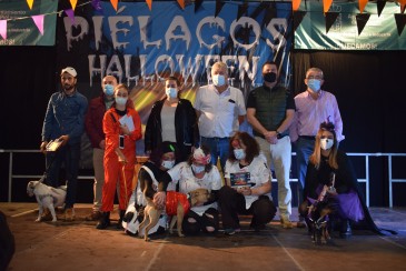 Nala, Codi y Jeddy, ganadores del I ...