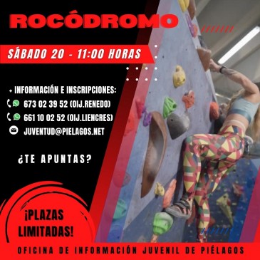 Las oficinas municipales de ...