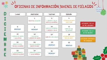 Las oficinas de información juvenil ...