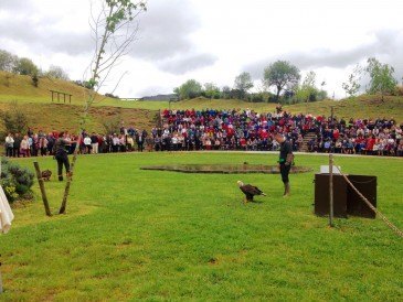 Cerca de 600 vecinos de Piélagos ...