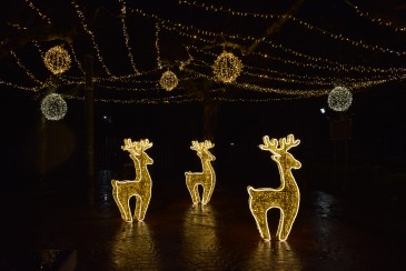 250.000 luces LED alumbran la Navidad ...