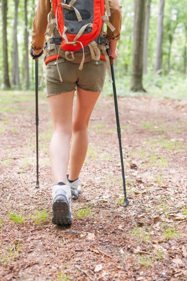 Abierta la inscripción para las ...