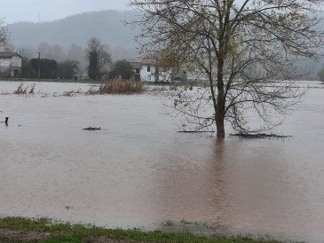 El 13 de febrero finalizará el plazo ...