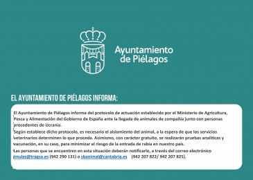 Protocolo de actuación para los ...