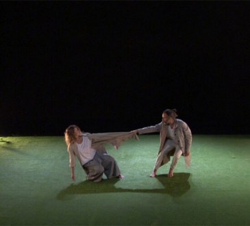 La compañía Babirusa Danza, ...