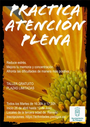 El Ayuntamiento de Piélagos ...