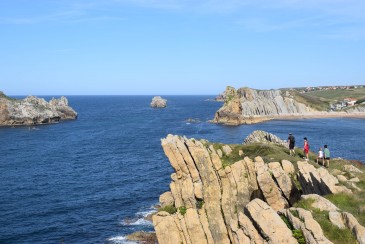El Ayuntamiento organiza cada ...