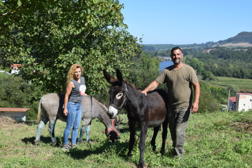 Más de 40 animales, en su mayoría de ...