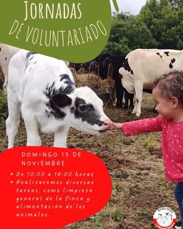 El Refugio animal ‘La manada ...