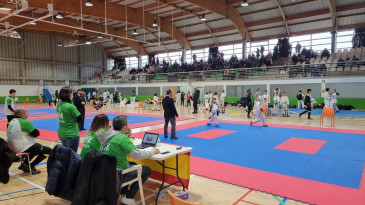 Cerca de 200 karatecas participan en el ...