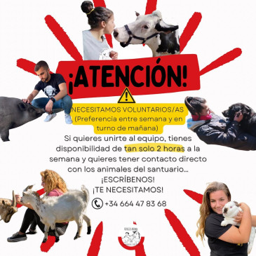 El Refugio animal ‘La manada ...