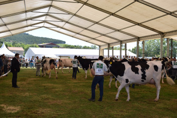 Abierto hasta el 12 de junio el plazo ...