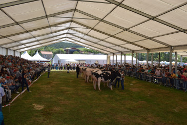 Renedo acogerá este domingo la 146 ...