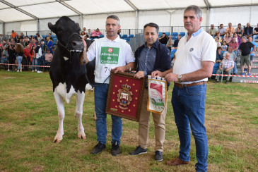 Llinde Wally Golddust se alza con el ...