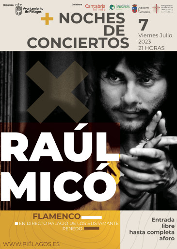 El cantaor flamenco Raúl Micó ...