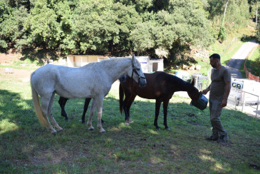 El Refugio animal ‘La manada ...