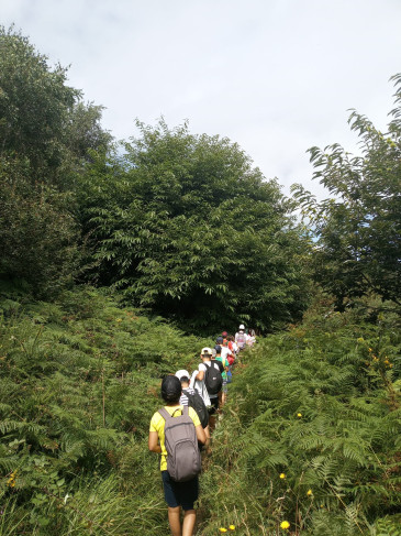 Una treintena de jóvenes vive la ...