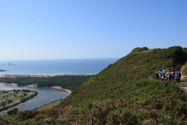 Piélagos oferta cada jueves de verano ...