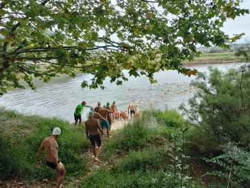 Cerca de un centenar de nadadores ...