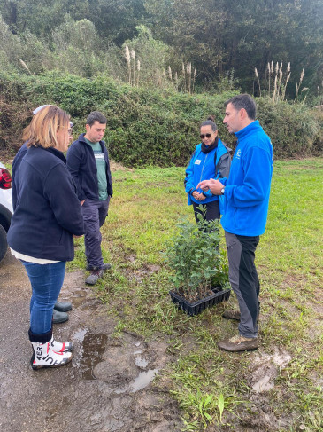 Voluntarios de la empresa Bureau ...