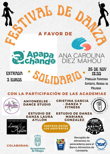 Festival solidario a beneficio de la ...
